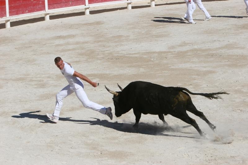 Souvenir Florence Clauzel course camarguaise