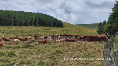 Fonds de commerce - 6 m²