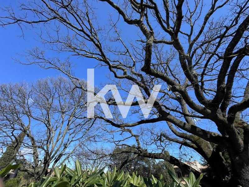 Maison - 147 m² - 7 pièces