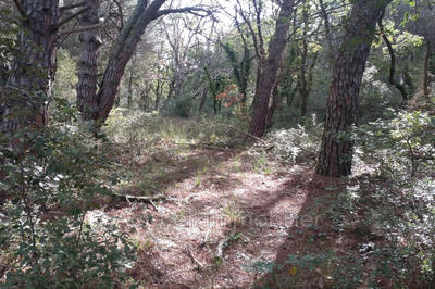 Terrain - 10 000 m²