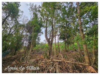 Terrain constructible - 1 059 m²