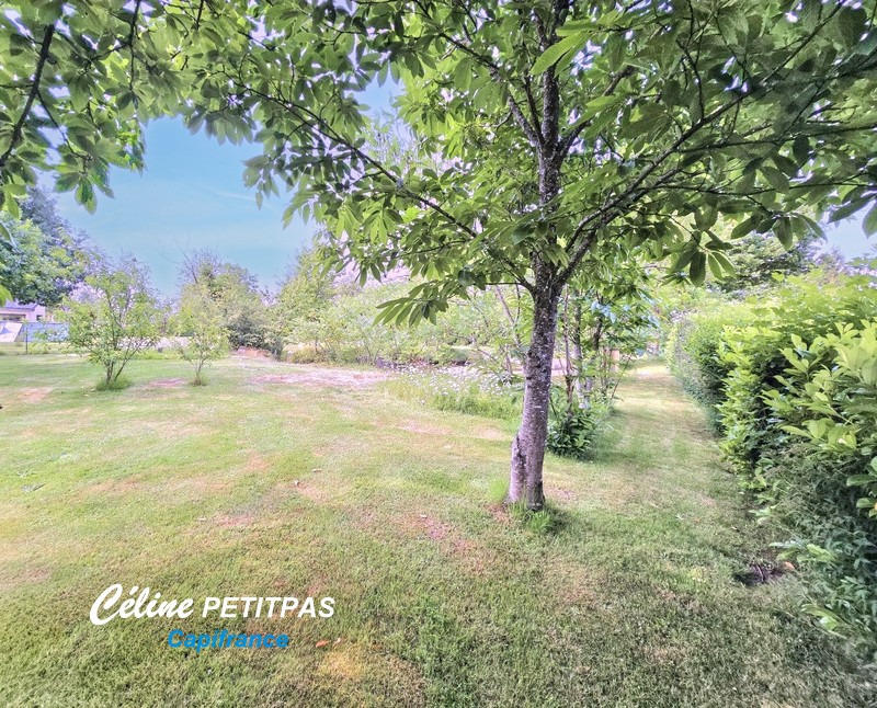 Terrain constructible - 1 240 m²