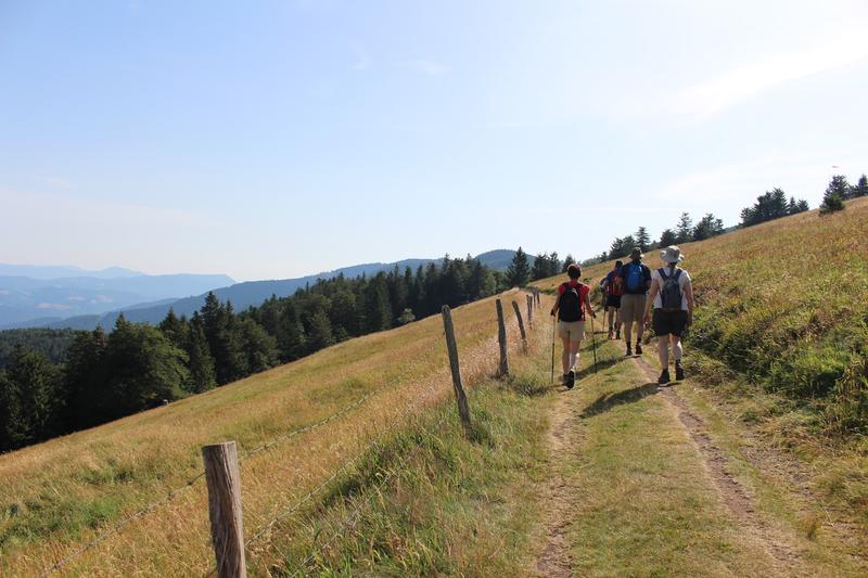 Sortie pédestre : les volcans du Rossberg