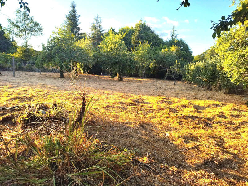 Maison - 195 m² - 6 pièces