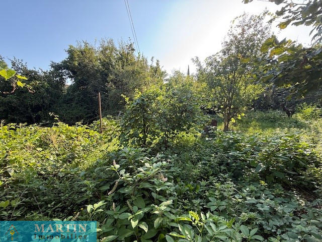 Terrain agricole - 354 m²