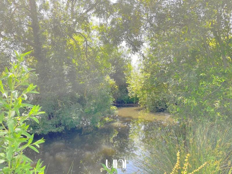 Maison - 260 m² - 1 pièce