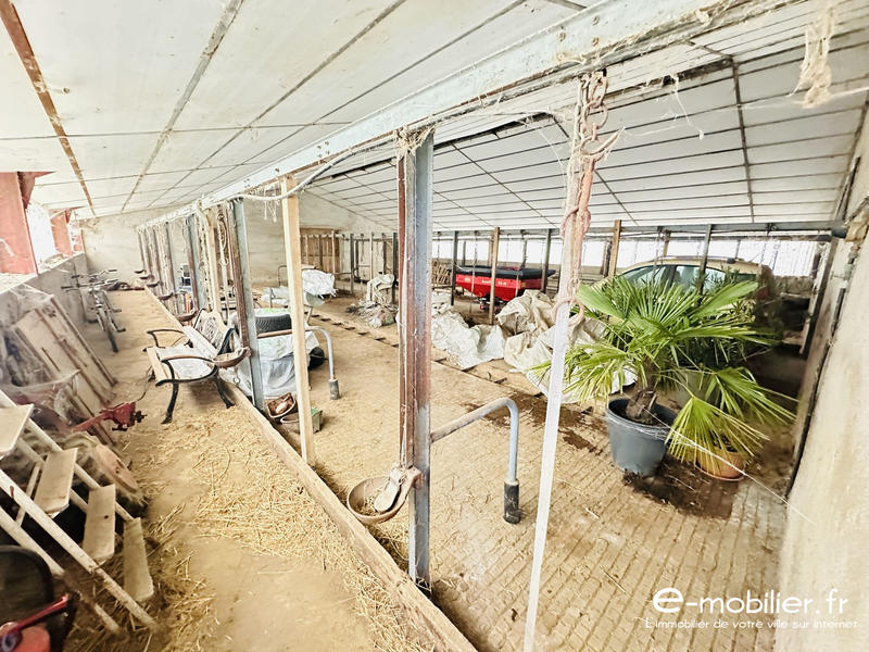 Maison - 117 m² - 4 pièces