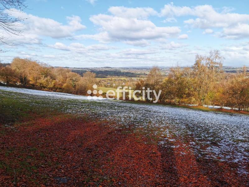 Maison de domaine équestre - 123 m² - 5 pièces