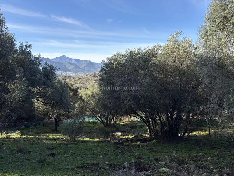 Terrain - 5 040 m²