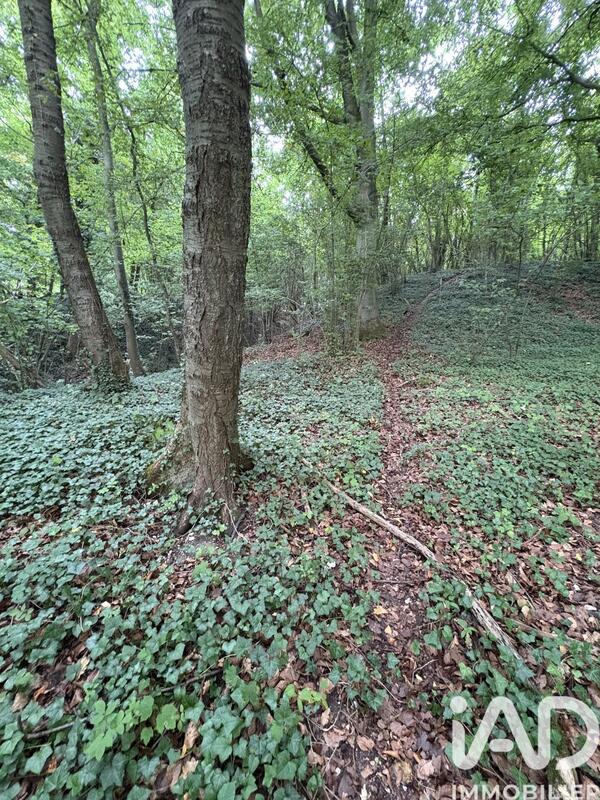 Terrain - 10 604 m²