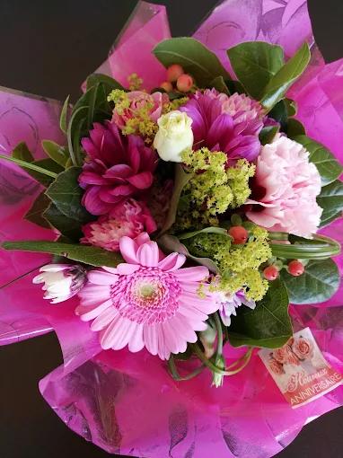 Agapanthe et Compagnie