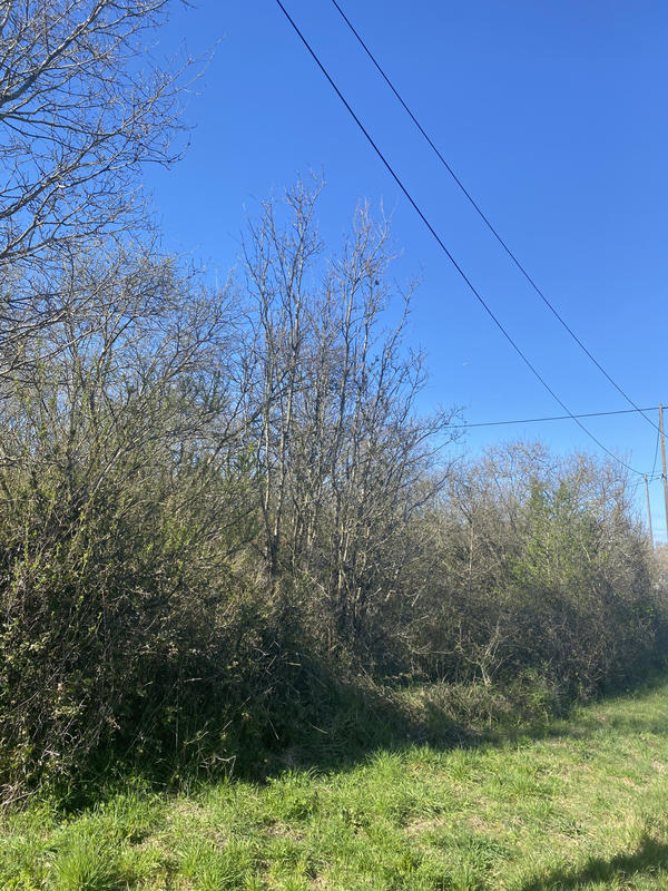 Terrain agricole - 3 100 m²