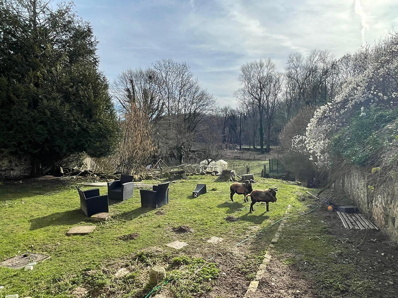 Maison - 230 m² - 8 pièces