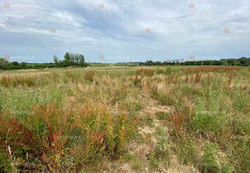 Local d'activité / Entrepôt - 5 815 m²