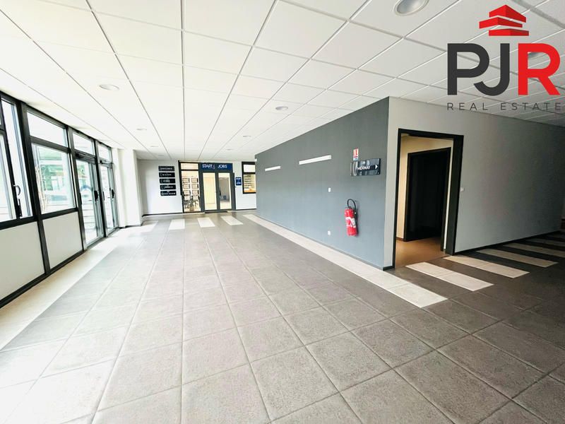 Bureau - 225 m²
