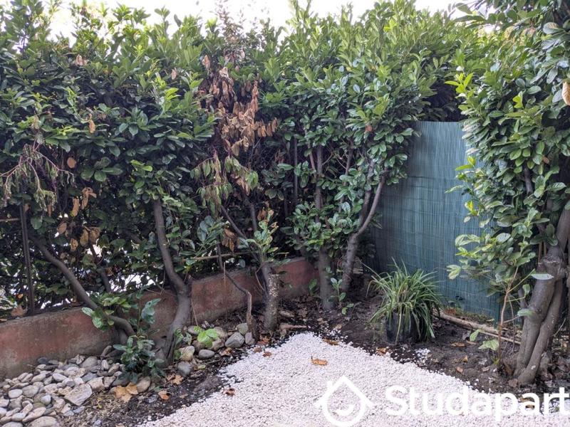 Appartement - 23 m² - 1 pièce