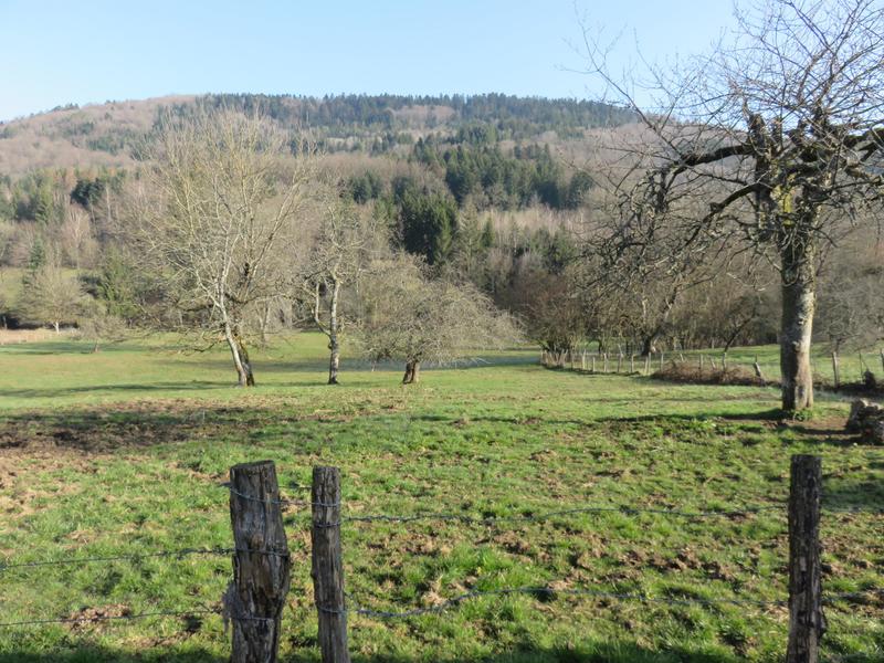 Maison de village - 220 m² - 6 pièces