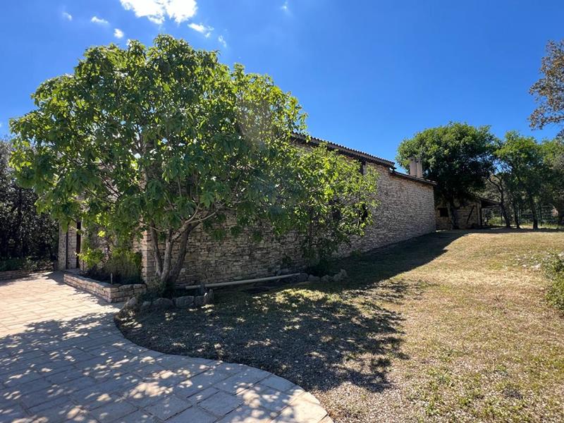 Maison en pierre - 140 m² - 7 pièces