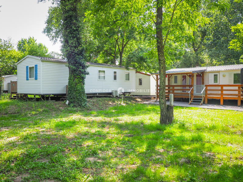 Local commercial - 10 000 m² - 10 pièces