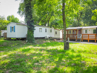 Local commercial - 10 000 m² - 10 pièces