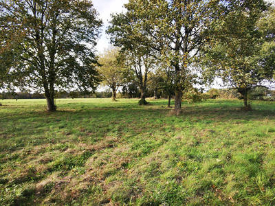 Maison - 30 m² - 2 pièces