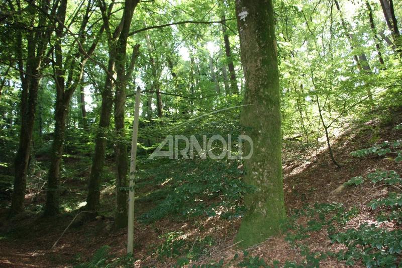 Moulin - 250 m² - 5 pièces