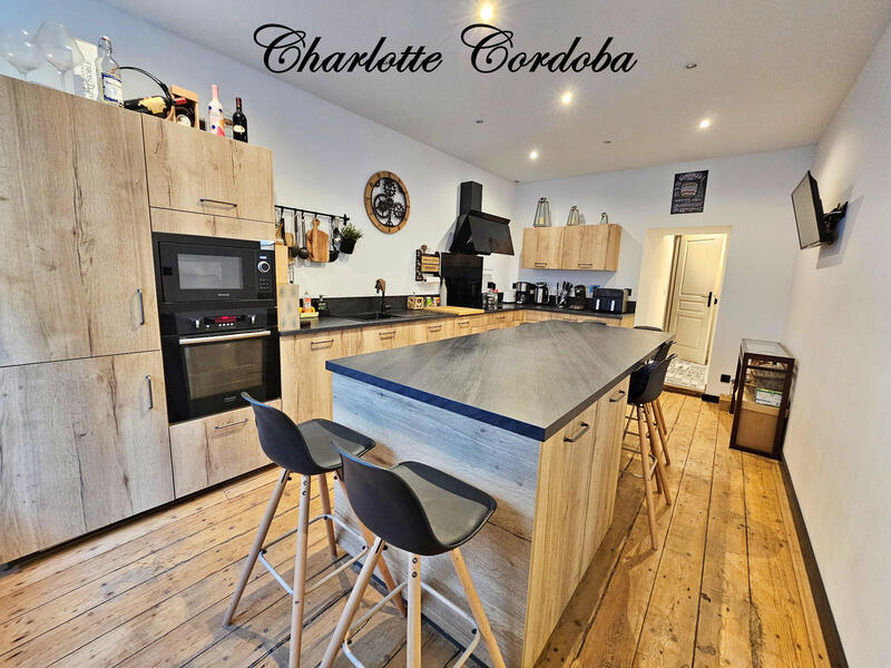 Maison en pierre - 253 m² - 9 pièces