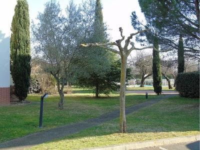 Appartement - 22 m² - 1 pièce