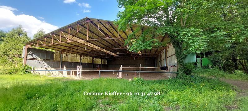 Haras - 300 m² - 4 pièces