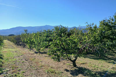 Terrain agricole - 7 121 m²