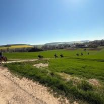 Les Ecuries de Thuisy