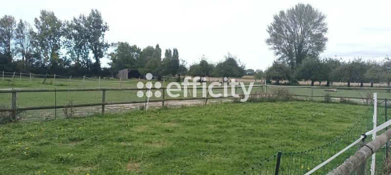 Maison - 554 m² - 18 pièces