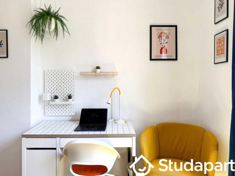 Appartement - 85 m² - 1 pièce