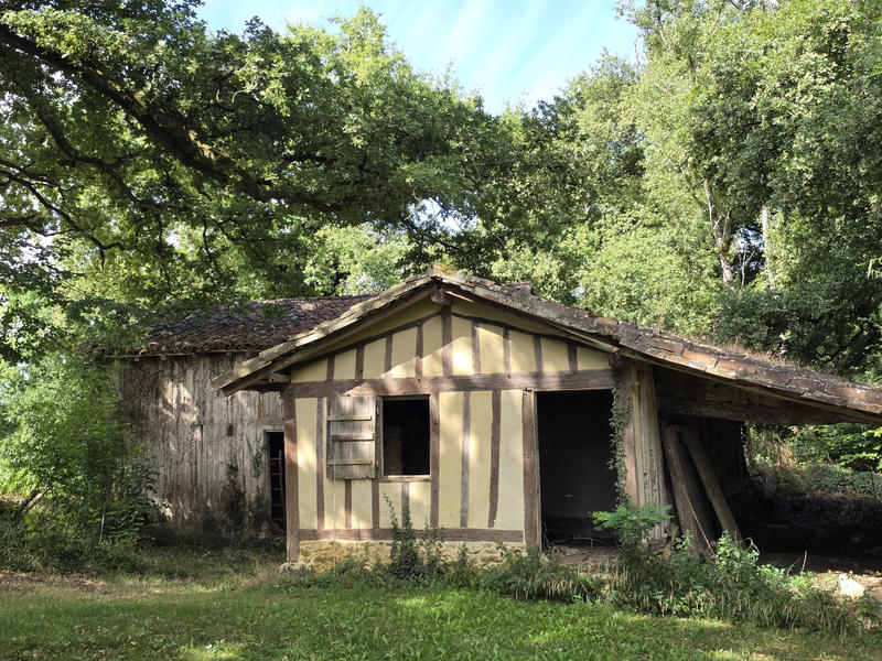 Maison - 24 606 m² - 15 pièces