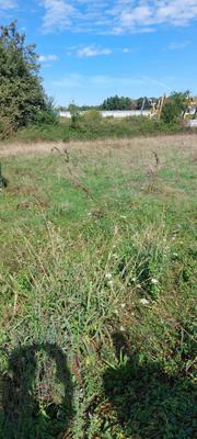 Terrain constructible - 2 493 m²