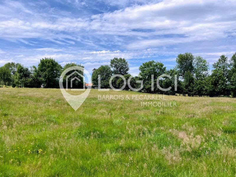 Terrain - 6 246 m²