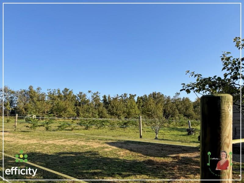 Maison traditionnelle - 334 m² - 14 pièces