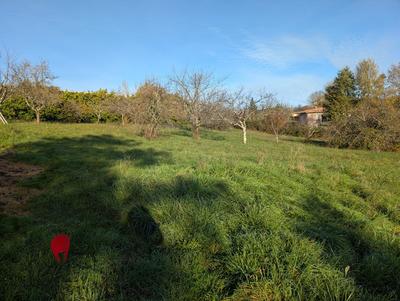 Terrain constructible - 1 012 m²