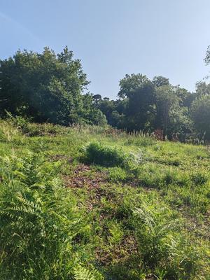 Maison - 50 m² - 2 pièces