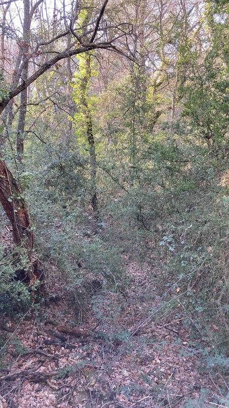 Terrain de loisirs - 25 775 m²