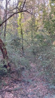 Terrain de loisirs - 25 775 m²