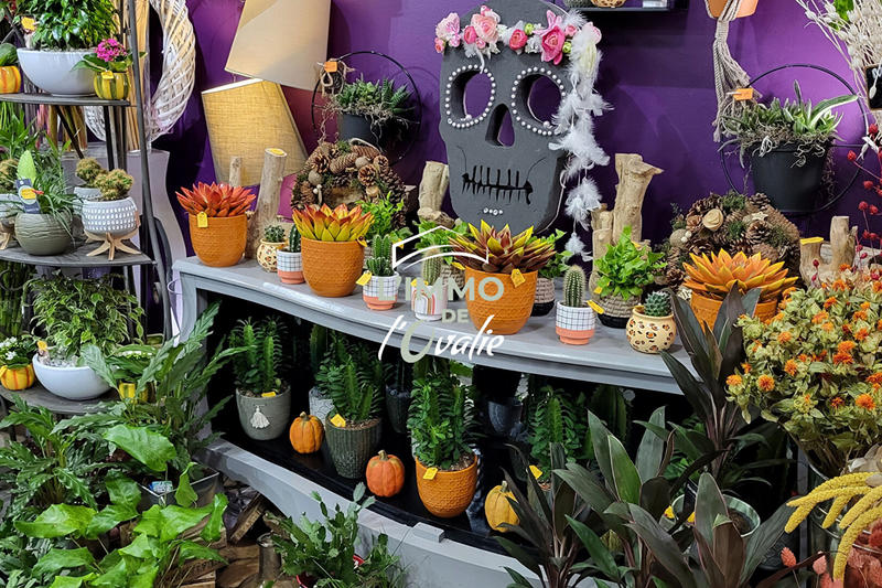 Fonds de commerce - 60 m²