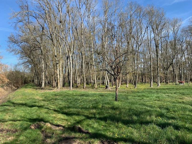 Terrain de loisirs - 3 220 m²