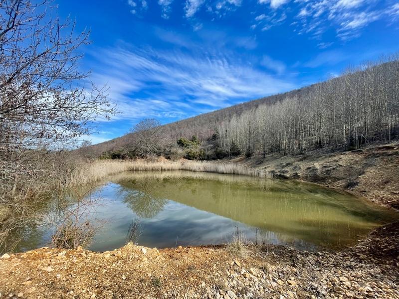 Château - 600 m² - 6 pièces