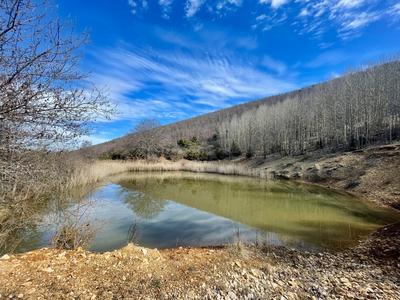 Château - 600 m² - 6 pièces
