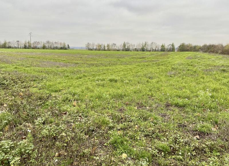 Terrain - 150 000 m²