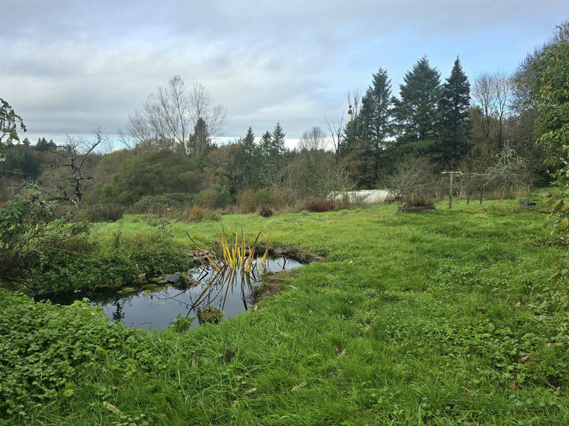 Maison ancienne - 388 m² - 12 pièces