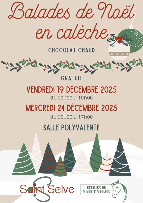 Balades de Noël en calèche