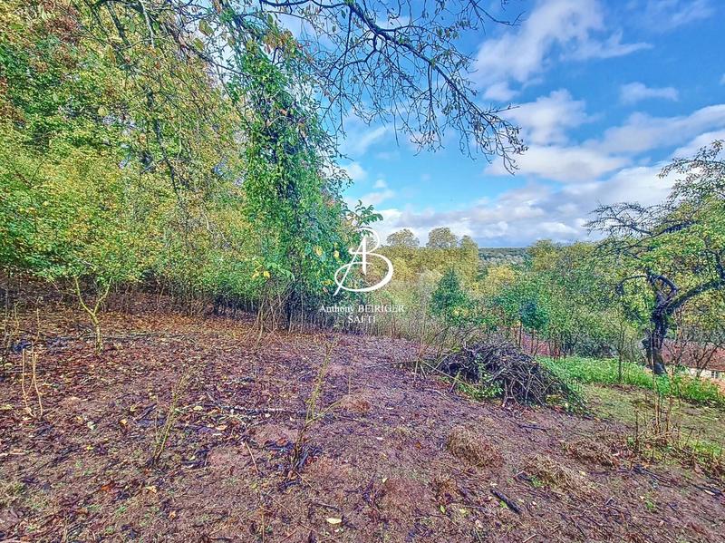 Maison - 390 m² - 10 pièces