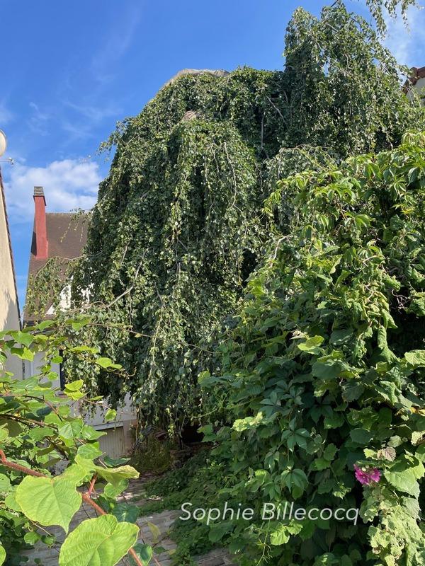 Maison - 210 m² - 8 pièces